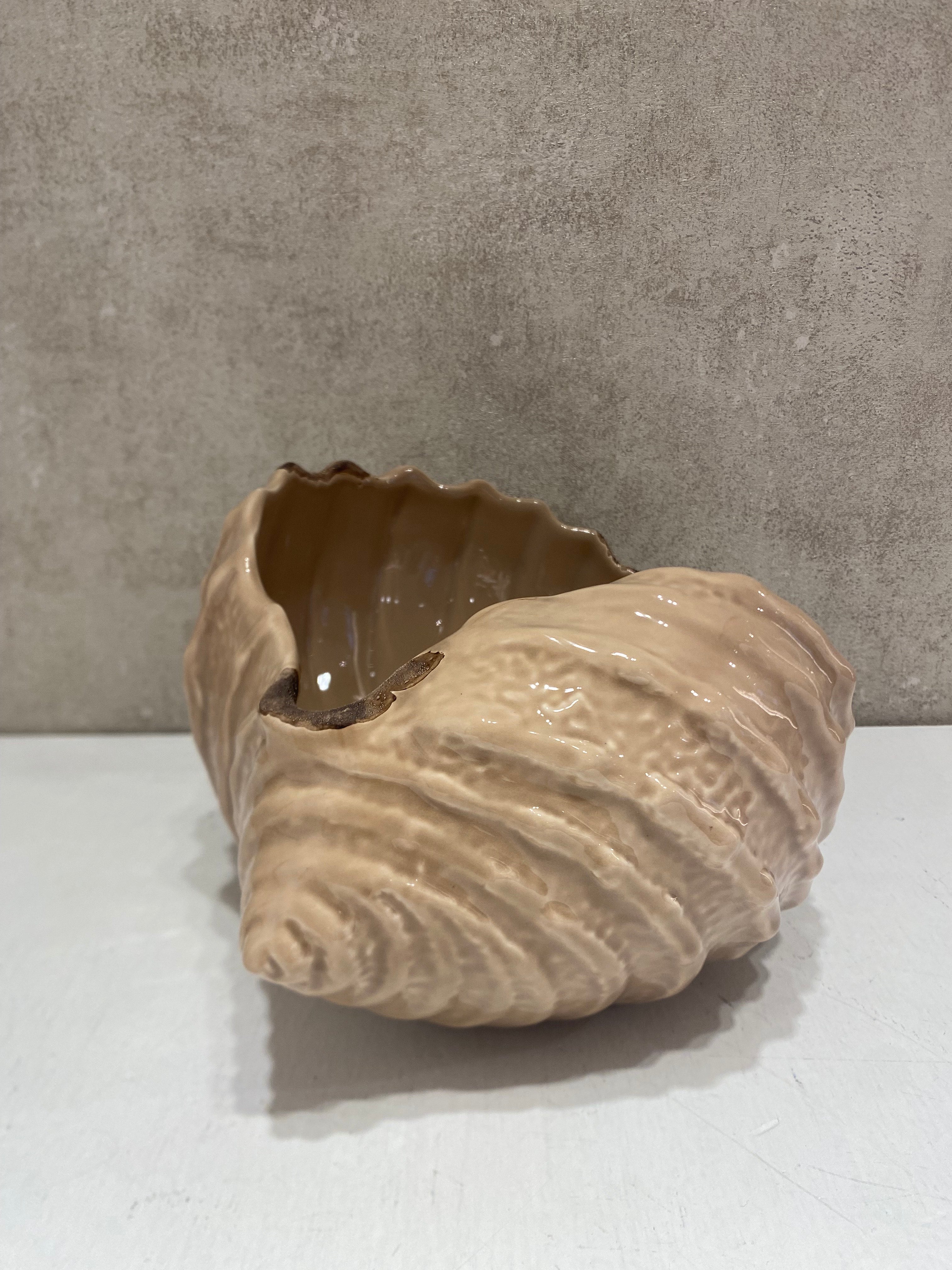 Conchiglia grande