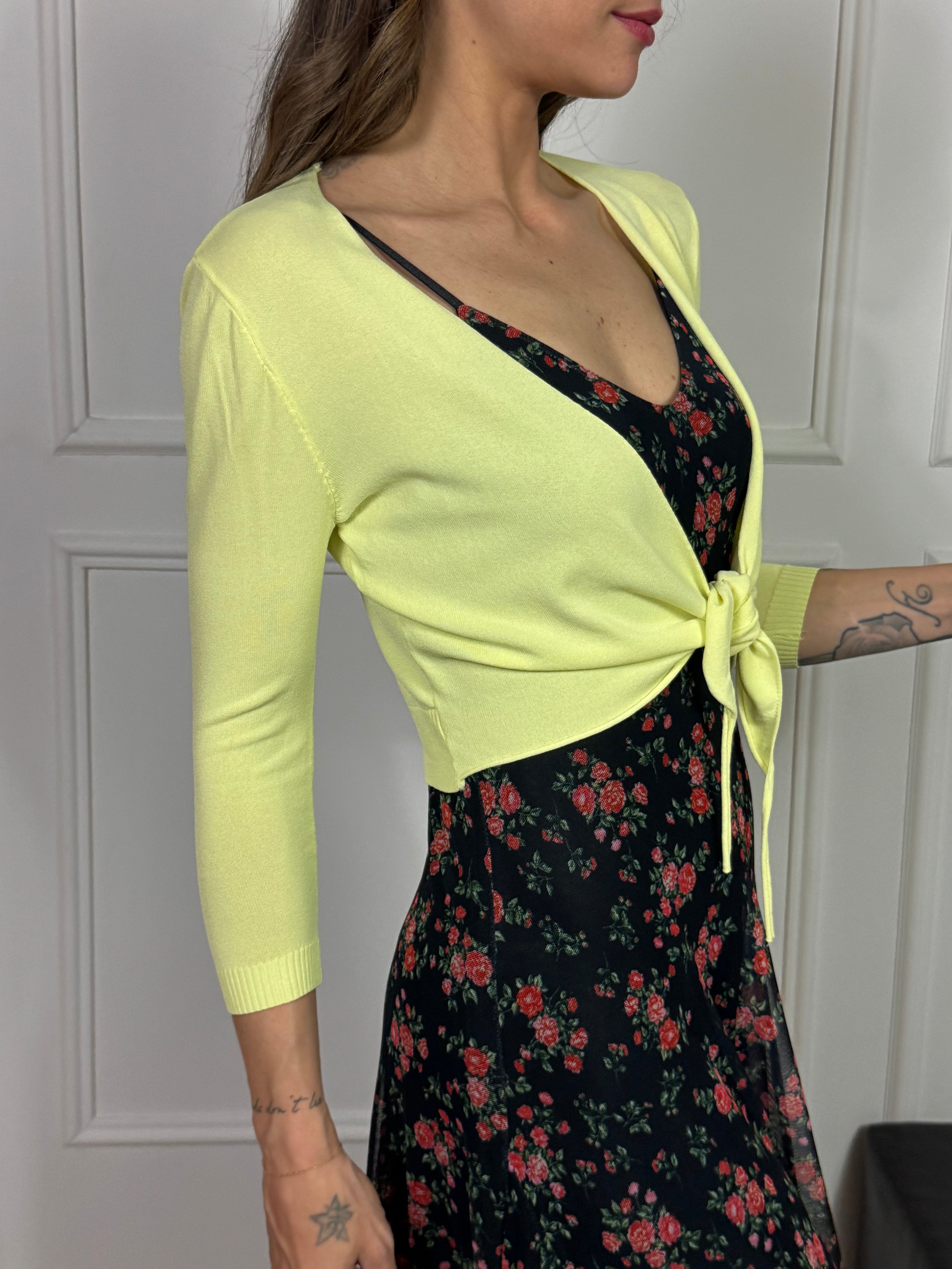 Coprispalle Victoria ILMH BASIC