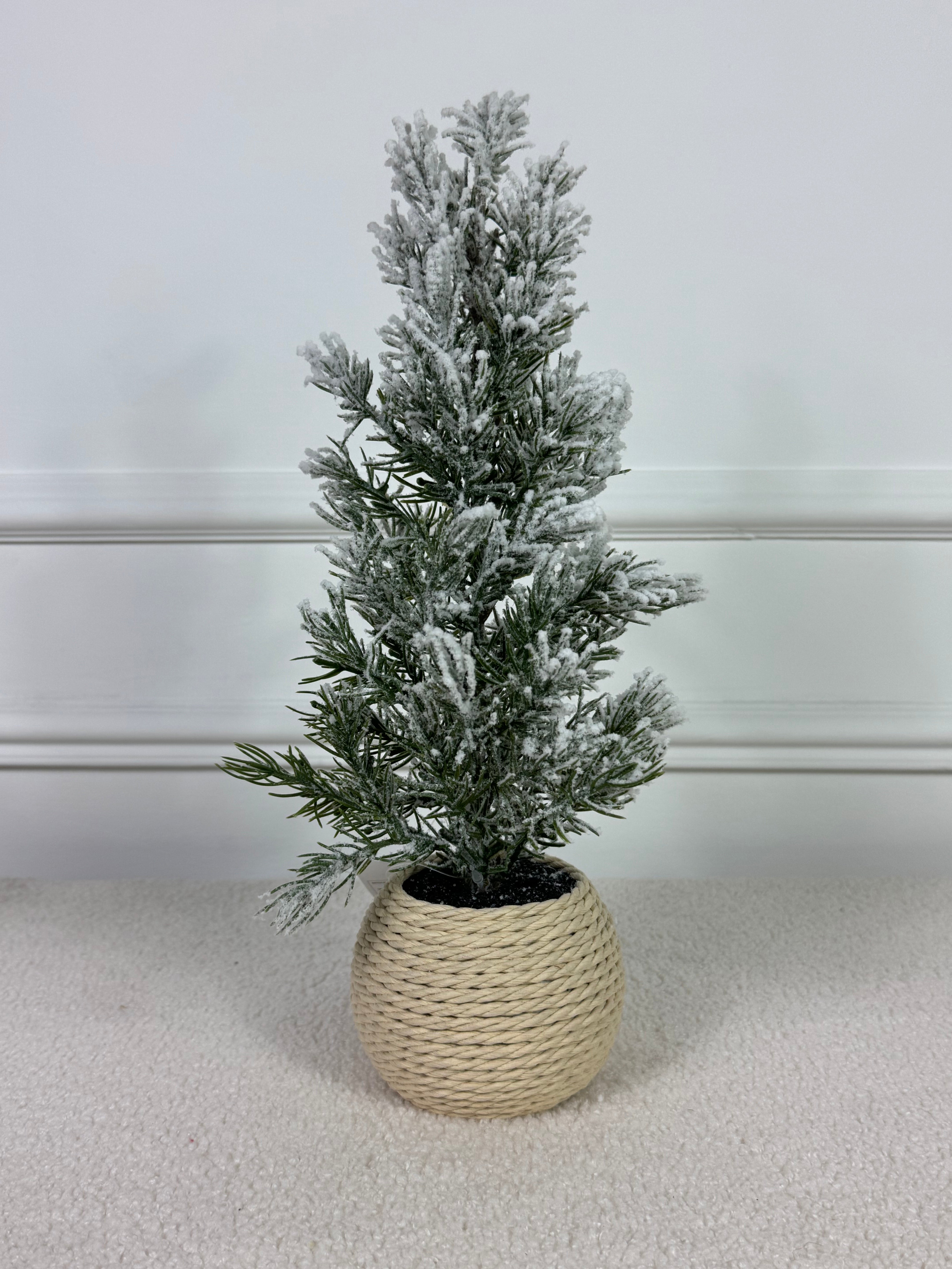 Pino innevato 40 WRANGELL