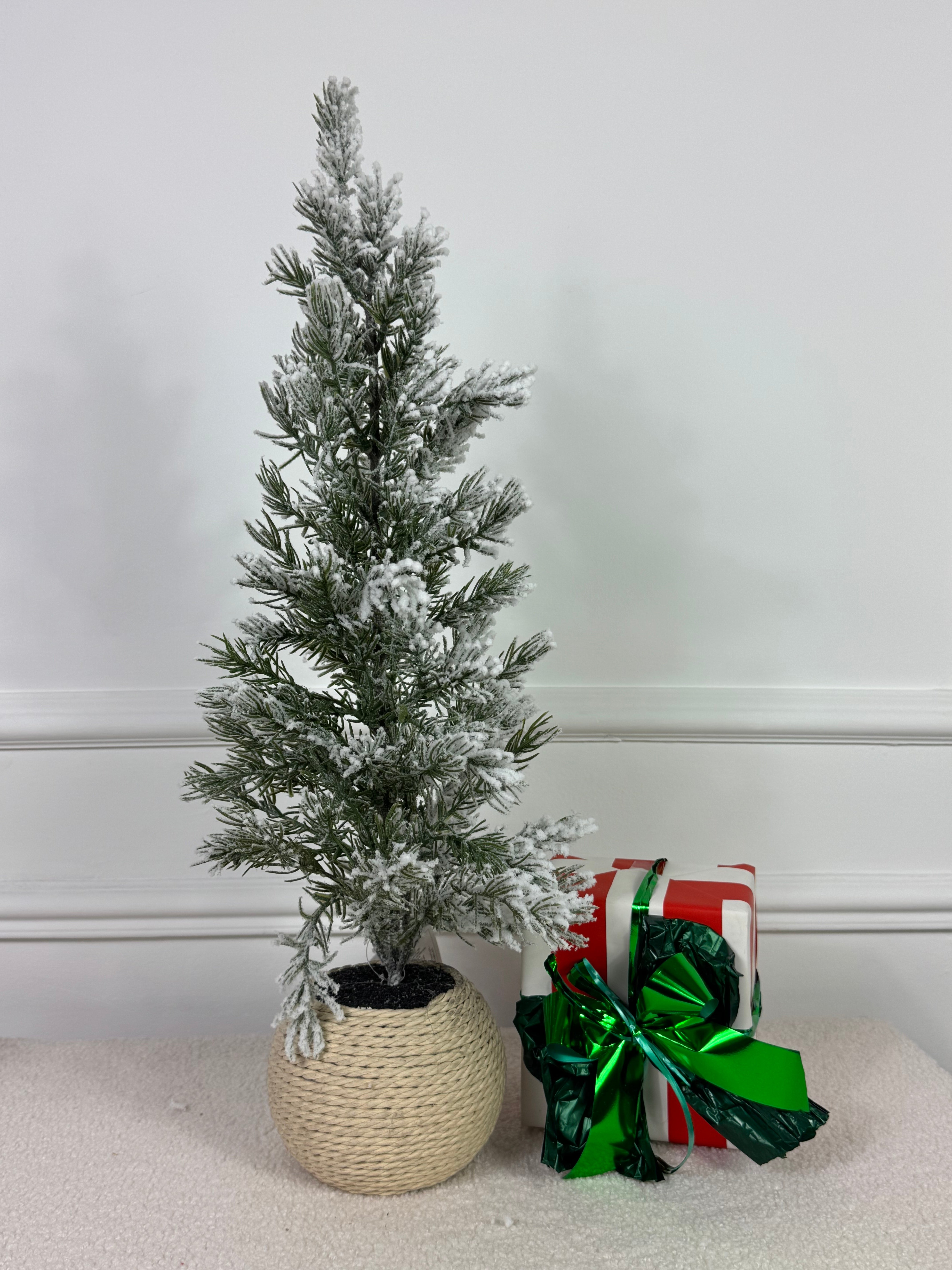 Pino innevato 55 WRANGELL