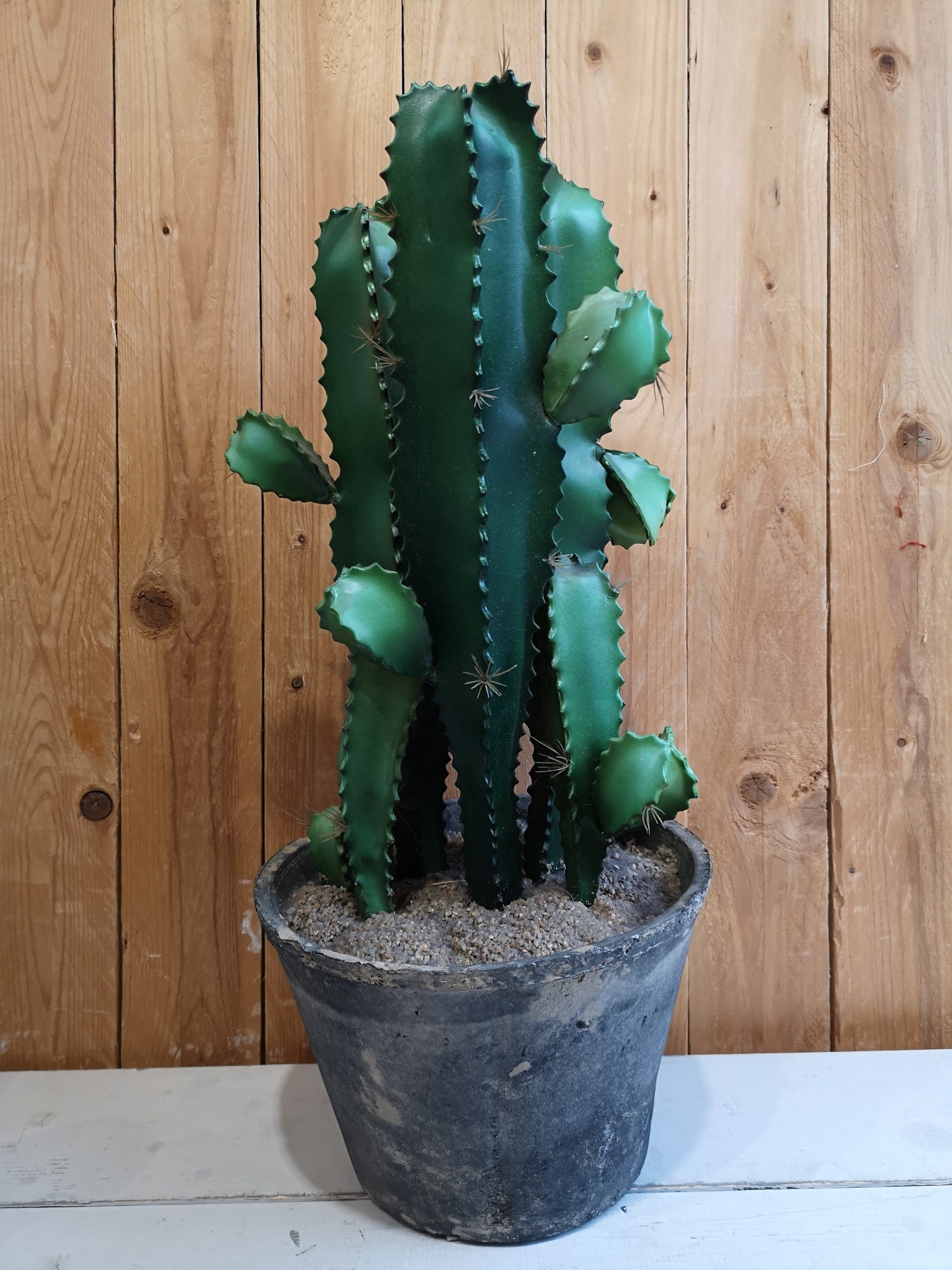 Vaso cactus