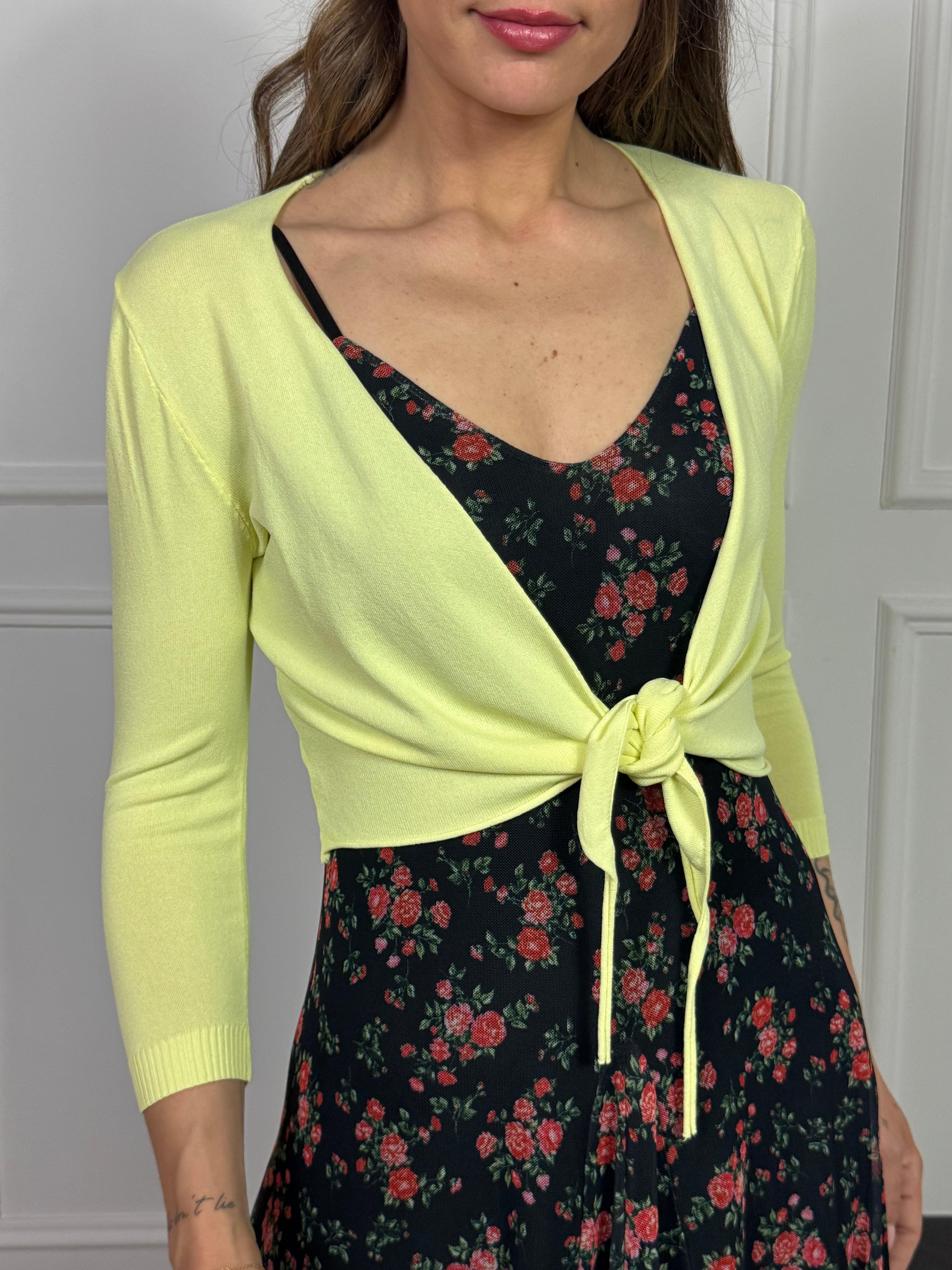 Coprispalle Victoria ILMH BASIC